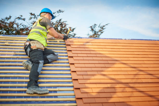 Best Roof Insulation Installation  in Fairhope, AL